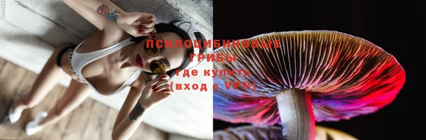 прущий лед Тобольск